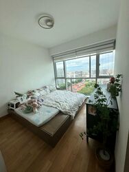 Eight Riversuites (D12), Condominium #498390841